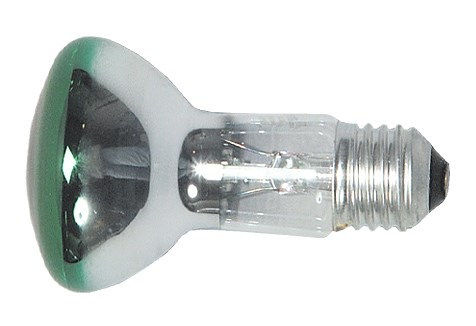 Bild von Reflektorlampe grün 40W / R50