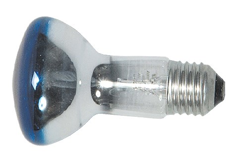 Bild von Reflektorlampe blau 40W / R63