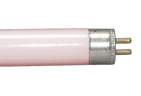 Bild von NL-Standard-Leuchtstoffröhre farbig 18W / NLT8 18W/60-R/G13