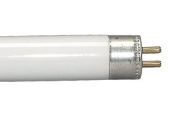 Bild von GE Dreibanden-Leuchtstoffröhre T8 / 3.450 Lumen / 36W / G13 / L 1.200 mm / F840 Hellweiß