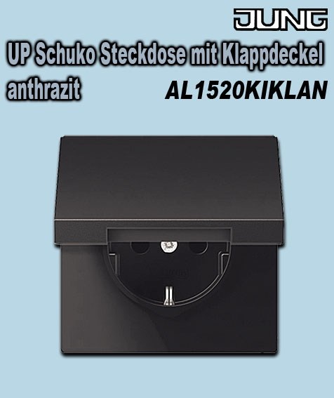 Bild von Jung UP Schuko Steckdose mit Klappdeckel / integrierter erhöhter Berührungsschutz Anthrazit (lackiertes Aluminium) matt / IP44