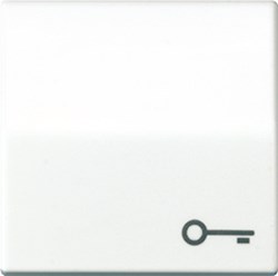 Bild von Wippe, Symbol Tür, Zentralplatte, antibakteriell, für Taster   / Art. ABAS 591 T