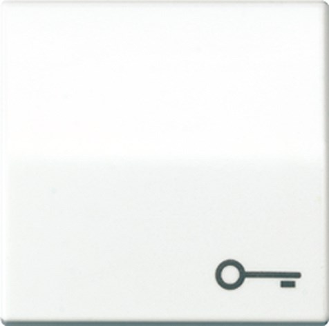 Bild von Wippe, Symbol Tür, Zentralplatte, antibakteriell, für Taster   / Art. ABAS 591 T