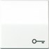 Bild von Wippe, Symbol Tür, Zentralplatte, antibakteriell, für Taster   / Art. ABAS 591 T, Bild 1