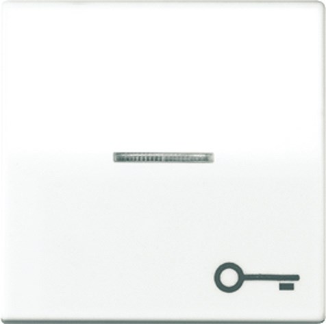 Bild von Wippe, Symbol Tür, Linse, Lichtleiter, Zentralplatte, antibakteriell, für beleuchtbare Taster   / Art. ABAS 591 KO5T