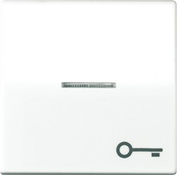Bild von Wippe, Symbol Tür, Linse, Lichtleiter, Zentralplatte, für beleuchtbare Taster   / Art. AS 591 KO5T