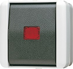 Bild von Wipp-Kontrollschalter, 10 AX, 250 V ~, rotes Lichtaustrittsfenster, Kennzeichnung 1 / 0, Aus 2-polig   / Art. 802 KOW