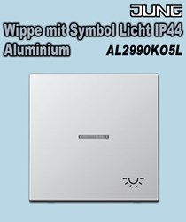 Bild von Jung Wippe mit Symbol Licht mit Lichtleiter IP44 - Aluminium