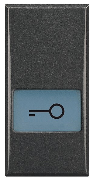 Bild von Symbolwippe für Axialschalter bedruckt mit  • Schlüssel •  1-modulig Anthrazit