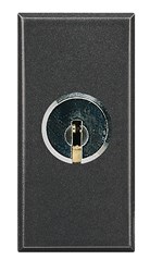 Bild von Schlüssel-Wechselschalter 2-polig 16A 250V AC mit Schlüssel 1-modulig Anthrazit