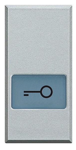 Bild von Symbolwippe für Axialschalter bedruckt mit  • Schlüssel •  1-modulig Aluminium