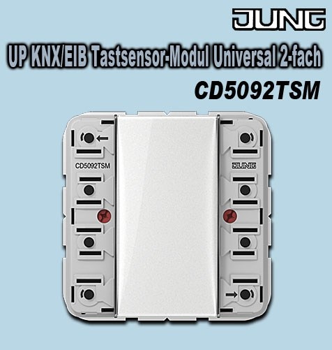 Bild von UP KNX/EIB Tastsensor-Modul Universal 2-fach