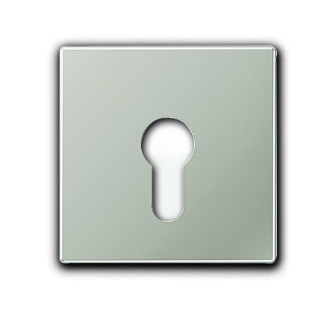 Bild von Jung LS Design Schlüsselschalter Abdeckung Metall Farbe Edelstahl matt