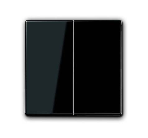 Bild von Jung Flächenwippe schwarz - zweiteilig Kunststoff schwarz glänzend