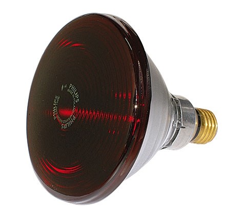 Bild von  Infrarot-Preßglaslampe PAR38E IR / 150W / E27 / 230V