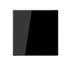 Bild von Jung Blindabdeckung mit Tragring schwarz glänzend / 70 x 70 mm