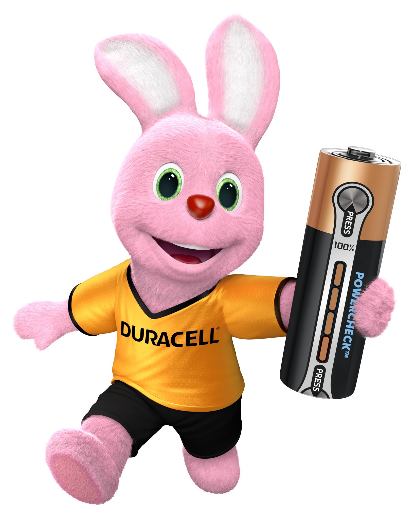Bild für Kategorie Duracell - Batterien