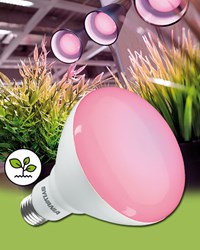 Bild von LED Wachstumslampe Gro-Lux LED E27 Flowering 400 lm / 17W / E27 / 120-240V / 39 PPF / 115 Grad / 2.400 K