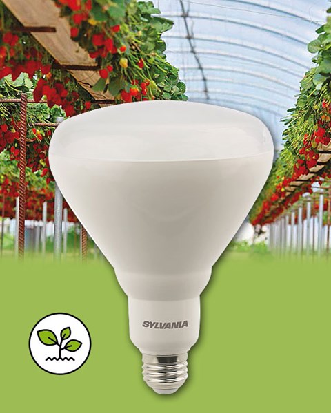 Bild von LED Wachstumslampe Gro-Lux LED E27 Vegetative 1.100 lm / 17W / E27 / 120-240V / 39 PPF / 115 Grad / 2.400 K