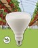 Bild von LED Wachstumslampe Gro-Lux LED E27 Vegetative 1.100 lm / 17W / E27 / 120-240V / 39 PPF / 115 Grad / 2.400 K, Bild 1