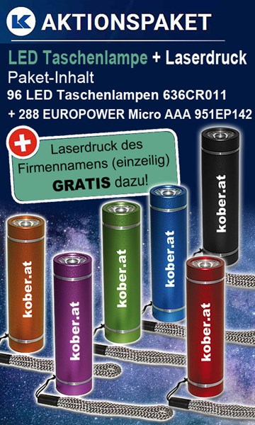 Bild von Set mit 96 x LED-Taschenlampen 636CR011 und 72 x  Micro AAA LR03 4er Blister