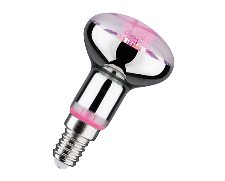Bild von LED Wachstumslampe R50 / 100 lm / 4W / E14 / 230V / 1.300K / Wachstumslicht