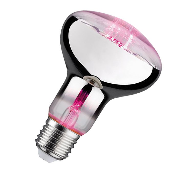 Bild von LED Wachstumslampe R80 / 200 lm / 6,5W / E27 / 230V / 1.300K / Wachstumslicht
