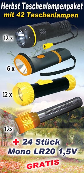 Bild von Herbst Taschenlampenpaket mit 42 Taschenlampen und 24 Stück Mono LR20 1,5V GRATIS