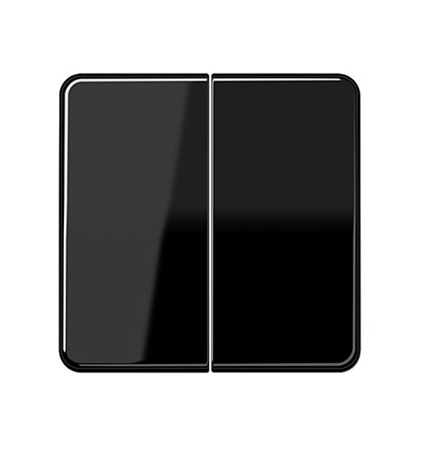 Bild von Jung Flächenwippe schwarz glänzend für Taster BA 2fach
