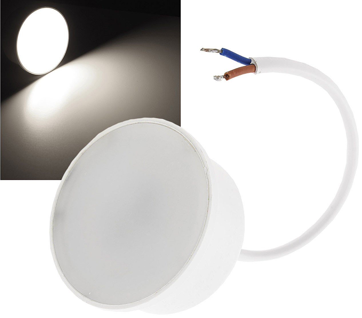 Bild von LED-Leuchtmittel Coin Piatto W7 / 550 Lumen / 7W / 230V / 4.200 K / 120° / nw matt dimmbar / 50x24mm