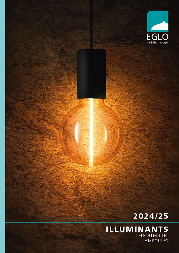 Bild von EGLO Leuchtmittelkatalog 
