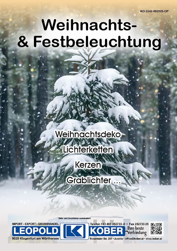 Bild von Katalog Weihnachts- und Festbeleuchtung
