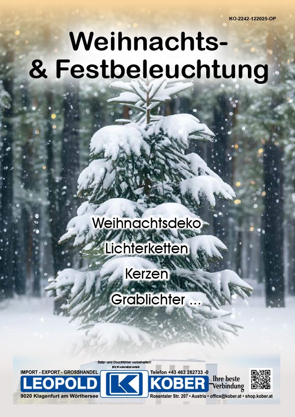 Bild von Katalog Weihnachts- und Festbeleuchtung